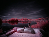 _5100399_gpx_2026