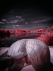_5100405_gpx_2026