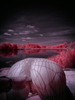 _5100406_gpx_2026
