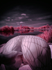 _5100409_gpx_2026
