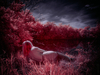 _5100413_gpx_2026