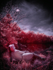 _5100414_gpx_2026