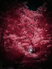 _5100418_gpx_2026