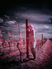 _5100433_gpx_2026