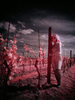 _5100434_gpx_2026