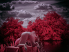 _6230457_gpx_2026