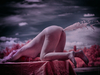 _6230466_gpx_2026