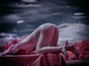 _6230467_gpx_2026