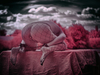 _6230476_gpx_2026