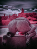 _6230477_gpx_2026