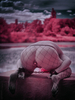 _6230479_gpx_2026