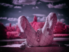 _6230497_gpx_2026