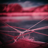 _6230504_gpx_2026