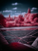 _6230506_gpx_2026
