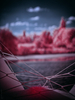 _6230508_gpx_2026