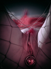 _6230522_gpx_2026